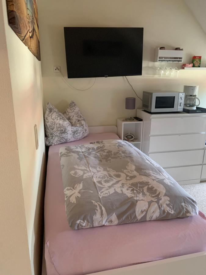 Apartment Am Goethe Park イェーナ エクステリア 写真